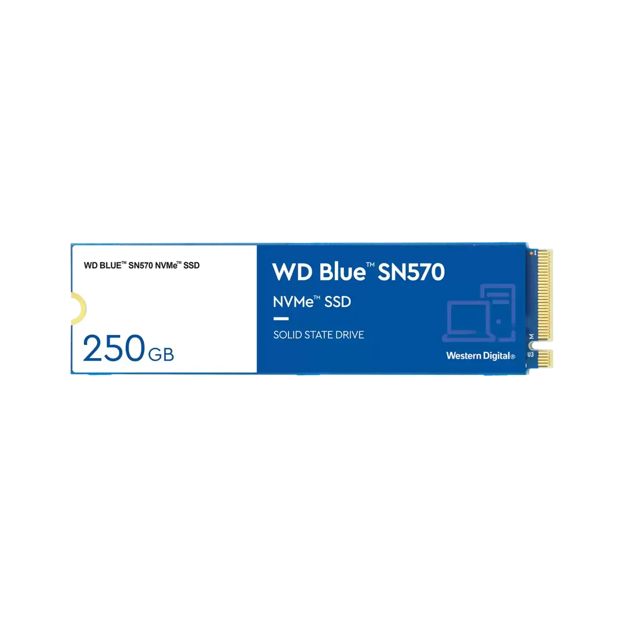 Western Digital Blue SN570 PCI-Express 3.0 250 GB M.2 SSD Disk