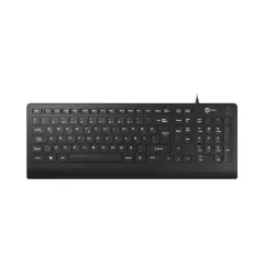 LENOVO LECOO KB103 SİYAH USB Q TYPE KLAVYE