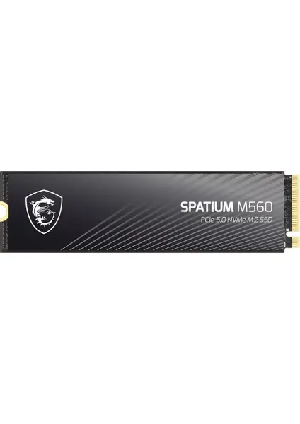 MSI SPATIUM M560 1TB NVME SSD 10200/8400