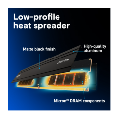 Crucial Pro 48GB (2x24GB) DDR5 6000MHz CP2K24G60C48U5 Soğutuculu RAM