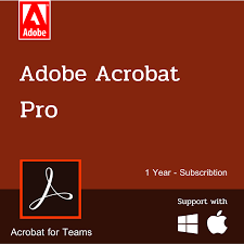 ACROBAT PRO FOR TEAMS 1 YILLIK