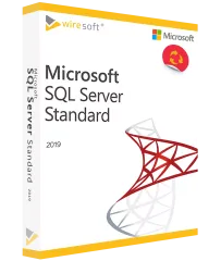 MS WINDOWS SQL SERVER 2019 STANDART
