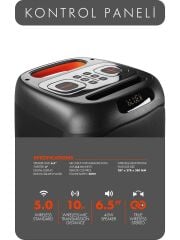 Powerway MIO Taşınabilir Mikrofonlu 40 W Parti Karaoke Kumandalı Bluetooth Hoparlör Led Işıklı