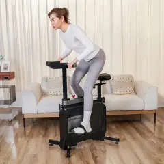 Kingsmith Katlanabilir Workstation Bike - EBW1B