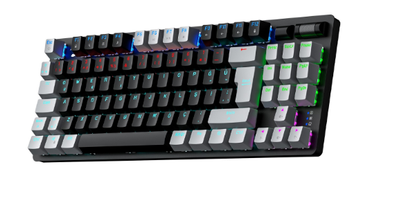 GAMEPOWER EVA 5 BLUE SWITCH 88 MEKANİK KLAVYE RBW