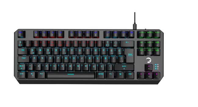 GAMEPOWER OVERLORD 60M BLUE SWITCH 88 MEKANİK GAMING KLAVYE