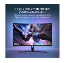 GAMEPOWER 27'' VIVID V80 CURVED 0.5MS 300Hz GAMING MONITOR