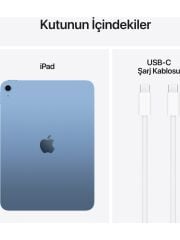 Apple iPad A16 11''  Tablet mavi - 256 GB
