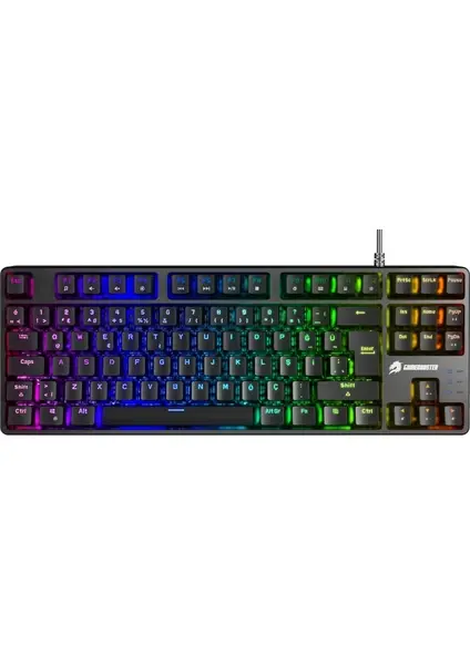 GAMEBOOSTER G23B ENIGMA RGB RED SWITCH MEKANIK SIYAH GAMING KLAVYE