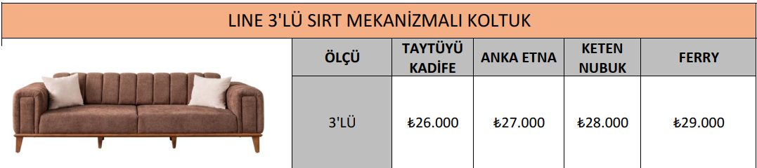 LINE 3'LÜ SIRT MEKANİZMALI KOLTUK