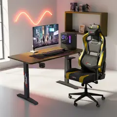 xDrive Rüzgar Oyuncu Masası Barok 100*60