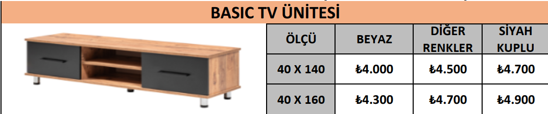 BASIC TV ÜNİTESİ
