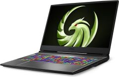 MSI Alpha 17 Ryzen 7 4800H 16GB 512GB SSD 6GB Radeon RX 5600M 17.3'' FreeDOS Gaming Notebook